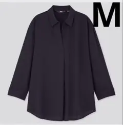 Item thumbnail for item 65205dc6-6c19-4053-a76d-a78d59563bbf