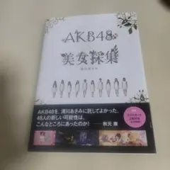 AKB48 美女採集 清川あさみ