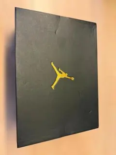 COMME des GARCONS × Nike Air Jordan 1 白