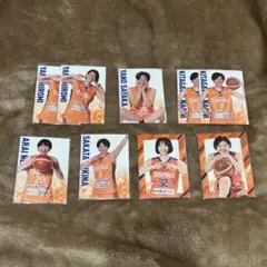Wリーグ 新潟アルビレックスBBラビッツ トレカセット
