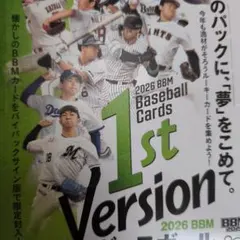 ぶー太郎A.様 リクエスト 2点 まとめ商品