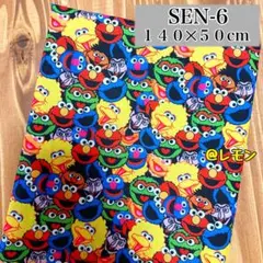 【SEN-6】140‪✕‬50cm/セサミストリート生地・総柄