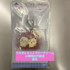 ちいかわ 1番くじ F賞 ラバーチャーム ラッコ＆うさぎ