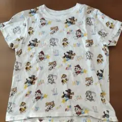 Item thumbnail for item 2ed68243-c59e-4357-9ec2-a5966dc70a75