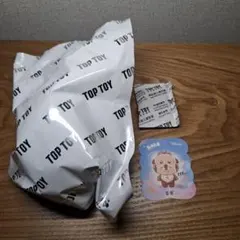 1デールTOP TOY キャラクターグッズカード付き　アイマスク