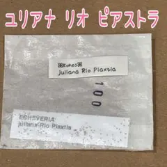 ドドシュカ様 リクエスト 2点 まとめ商品