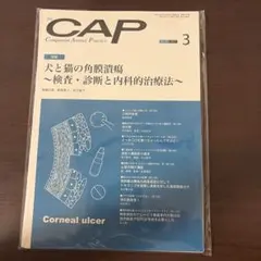 月刊CAP No.421 2024年7月号 局所麻酔テクニック 裁断済 - メルカリ