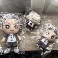ハイキュー‼︎ にとたん　木兎光太郎 大きいにとたん ぬいぐるみ ハイキュー!!」にとたんビーチバレー×Nuidri!! ボールチェーン付き
