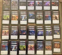 【未使用】FaB アーモリーデッキ アイラ 日本語 フレッシュアンドブラッド