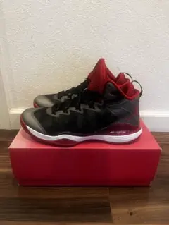 AIR JORDAN SUPERFLY 3 SLAM DUNK スラムダンク27