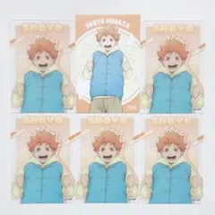 ハイキュー 日向 ヨーショー アニメイト　クリアカード 特典 6枚セット