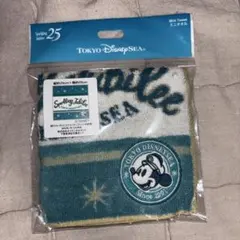 ス*プ様 東京ディズニーシー25周年 ミニタオル