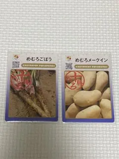 地団カード 中津川栗きんとん 英語版 日本語版 岐阜県 中津川市 2枚
