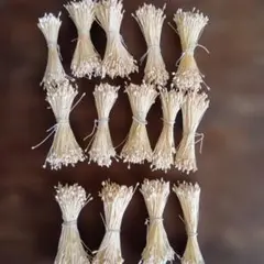 布花用花芯 手芸用 小さ目ペップ アートフラワー用ペップ