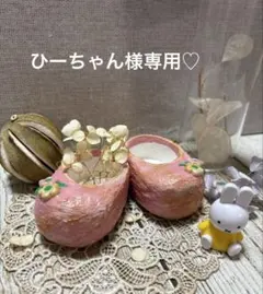 ひーちゃん様専用♡