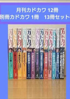 月刊カドカワ 12冊、別冊カドカワ 1冊のセット 奥田民生 イエモン C&A 他