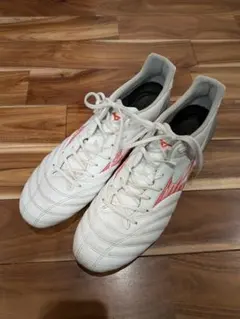 Item thumbnail for item 78ebe439-d7e2-4f36-b861-c2095bcb37c7