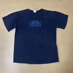 GILDAN SMOKY MTN CHEROKEE Tシャツ M
