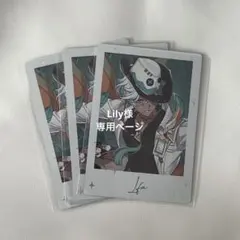 Lily様専用ページ