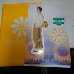 FANTASTICS SUNFLOWER 木村慧人 | Mercari