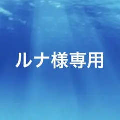 ルナ様　専用