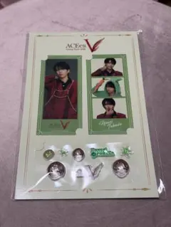 深田竜生 シールセット ACEes Arena Tour 2026 V
