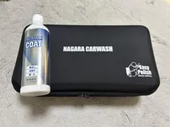 最終値下げ！ながら洗車イージーポリッシャーCARWASH Easy Polish 61zma5P1TCL._AC_SL1000.jpg?v=