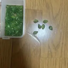 緑色の葉型ビーズ たくさん