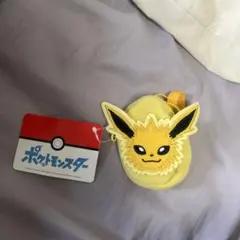 サンダース　リュック型ミニポーチ