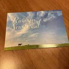 Item thumbnail for item f3c3ef47-a9af-4e59-a9f3-bf792d9af358