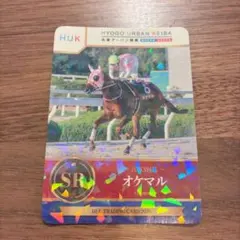 兵庫アーバン競馬 オケマル トレーディングカード