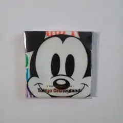 東京ディズニーランド ミッキー 　ミニタオル