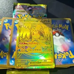 メガカイリューex mur