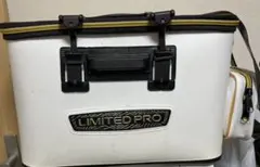 Item thumbnail for item 5f77685b-898f-490d-8dd8-2c35df8aa8c7