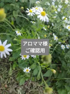 アロママ様　ご確認用