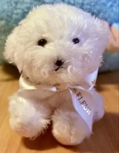 メゾンドフルール メゾフル ビションフリーゼ チャーム 犬 マスコット