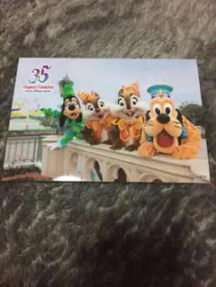 ディズニー スペフォ 35周年 グーフィ プルート チップ デール 陸