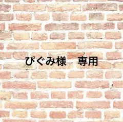 ぴぐみ様 リクエスト 3点 まとめ商品