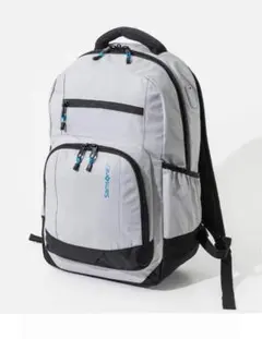 Samsonite グレー バックパック
