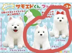 くったりサモエドくん スカーフ超特大 GiGO限定 - メルカリ