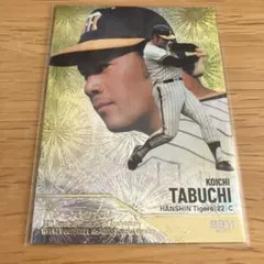 田淵幸一　Fireworks 即購入◎