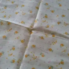 Item thumbnail for item 1d7eae43-be08-47b7-bdbe-4c11f81f669b