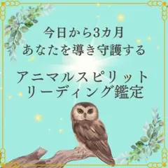 ✨新品・未開封✨正規品 ❁ アニマルタロットカード❁オラクルカード✥ドイツ語版✥ 2025年最新】アニマルタロットカードの人気アイテム - メルカリ