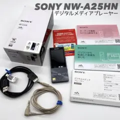 【美品】SONY WALKMAN NW-A25 ハイレゾ音源対応