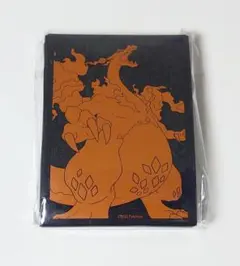 【海外限定商品】ポケモンカードゲーム　エリートトレーナーボックス　リザードン 海外限定 エリートトレーナーボックス チャンピオンズパス