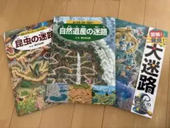 香川元太郎 迷路絵本 3自然遺産の迷路　昆虫の迷路魔法の学校大迷路　3冊セット