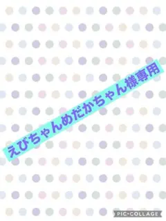 ［オーダー］えびちゃんめだかちゃん様専用