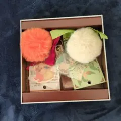 ポケモン　イーブイコレクション　キーホルダーセット