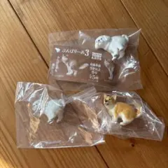 ふんばりーぬ3 ペキニーズ、コーギーセット