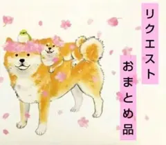 aki様 リクエスト 2点 まとめ商品